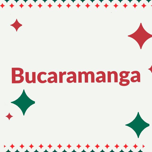 Vestuario Mujer - Recibe tus compras antes de navidad en Barranquilla
