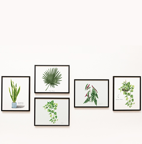 Decoracion-pared