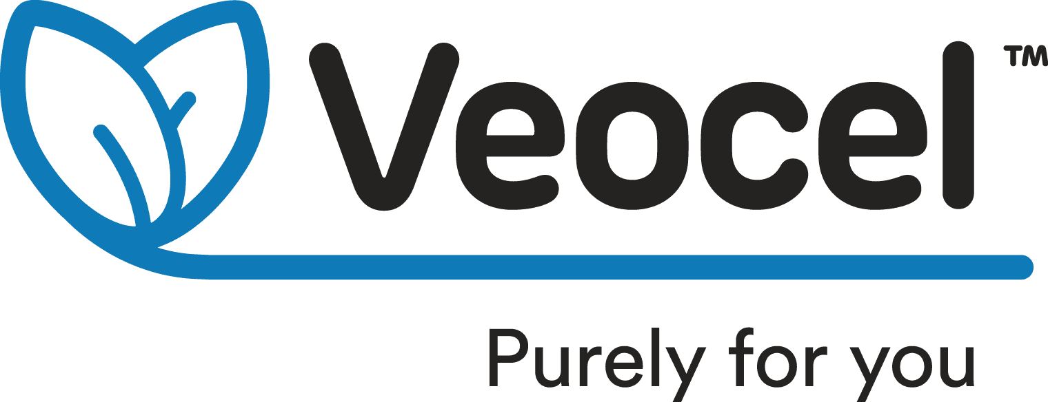 Logo Veocel