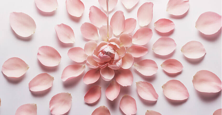 Flores