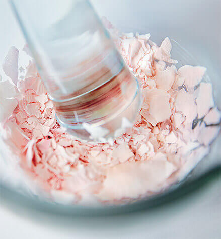 Ingredientes exclusivos